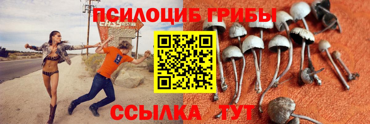 Псилоцибиновые грибы мухоморы Ноябрьск